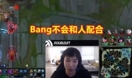 大师兄爆料视频大全集,揭秘幕后真相与精彩瞬间