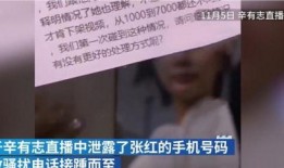辛巴母亲爆料视频播放下载,揭秘背后真相