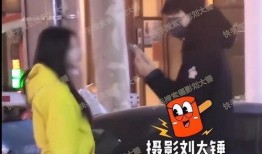 刘大锤爆料网红视频大全,网红视频大全背后的精彩瞬间