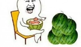 吃瓜娱乐卡通,卡通世界里的吃瓜娱乐大揭秘